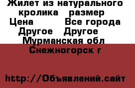 Жилет из натурального кролика,44размер › Цена ­ 500 - Все города Другое » Другое   . Мурманская обл.,Снежногорск г.